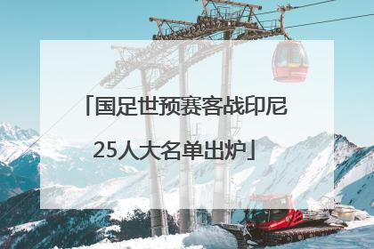 国足世预赛客战印尼25人大名单出炉