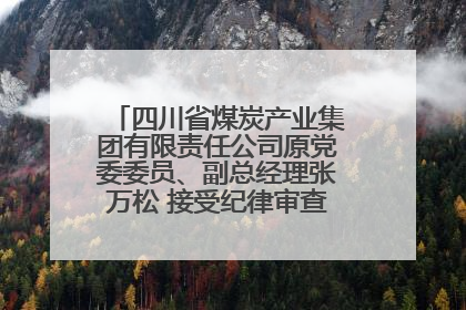四川省煤炭产业集团有限责任公司原党委委员、副总经理张万松 接受纪律审查和监察调查