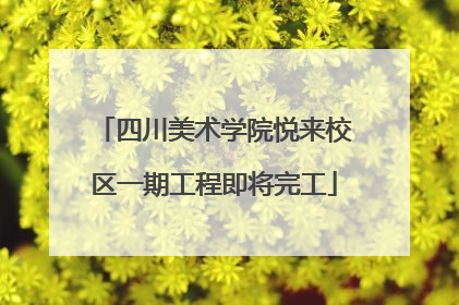 四川美术学院悦来校区一期工程即将完工