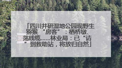 四川井研湿地公园现野生猕猴 “房客”：栖桥墩、荡线缆……林业局：已“请”到救助站，将放归自然
