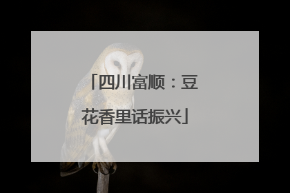 四川富顺：豆花香里话振兴