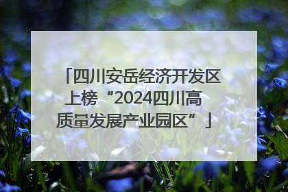 四川安岳经济开发区上榜“2024四川高质量发展产业园区”