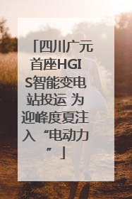 四川广元首座HGIS智能变电站投运 为迎峰度夏注入“电动力”