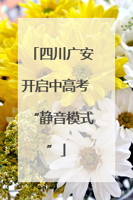 四川广安开启中高考“静音模式”