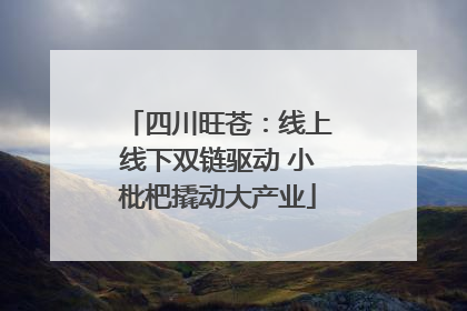 四川旺苍：线上线下双链驱动 小枇杷撬动大产业