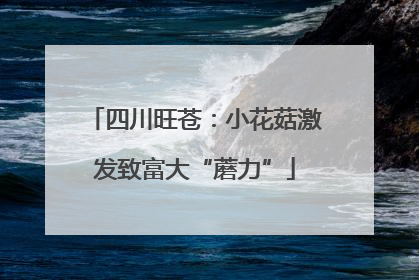 四川旺苍：小花菇激发致富大“蘑力”