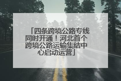 四条跨境公路专线同时开通！河北首个跨境公路运输集结中心启动运营