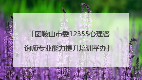 团鞍山市委12355心理咨询师专业能力提升培训举办