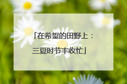 在希望的田野上：三夏时节丰收忙
