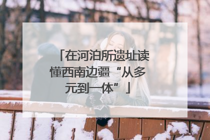 在河泊所遗址读懂西南边疆“从多元到一体”