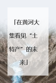 在黄河大集看见“土特产”的未来