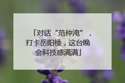 对话“范仲淹”，打卡岳阳楼，这台晚会科技感满满