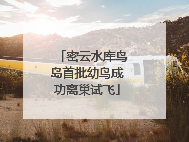 密云水库鸟岛首批幼鸟成功离巢试飞