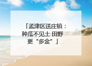 孟津区送庄镇：种瓜不见土 田野更“多金”