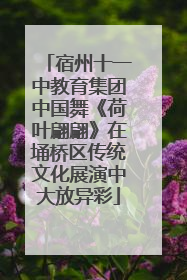 宿州十一中教育集团中国舞《荷叶翩翩》在埇桥区传统文化展演中大放异彩