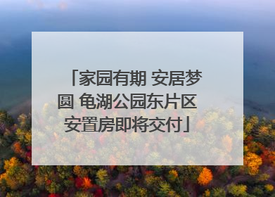 家园有期 安居梦圆 龟湖公园东片区安置房即将交付