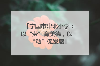 宁国市津北小学：以“劳”育美德，以“动”促发展