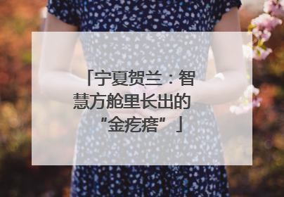 宁夏贺兰：智慧方舱里长出的“金疙瘩”