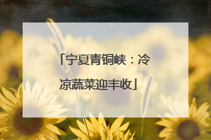 宁夏青铜峡：冷凉蔬菜迎丰收
