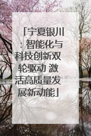 宁夏银川：智能化与科技创新双轮驱动 激活高质量发展新动能