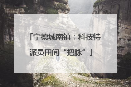 宁德城南镇：科技特派员田间“把脉”