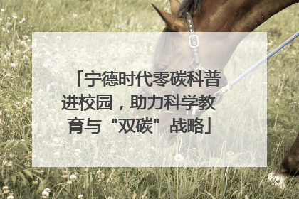 宁德时代零碳科普进校园，助力科学教育与“双碳”战略