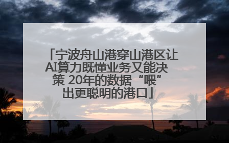 宁波舟山港穿山港区让AI算力既懂业务又能决策 20年的数据“喂”出更聪明的港口