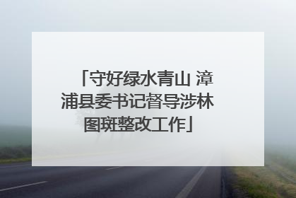 守好绿水青山 漳浦县委书记督导涉林图斑整改工作