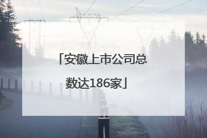 安徽上市公司总数达186家