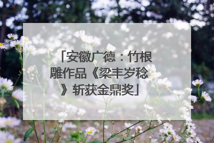 安徽广德：竹根雕作品《梁丰岁稔》斩获金鼎奖