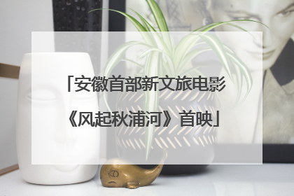 安徽首部新文旅电影《风起秋浦河》首映