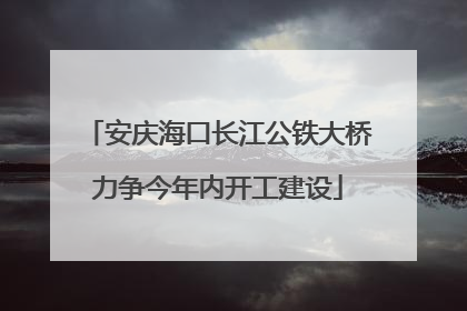 安庆海口长江公铁大桥力争今年内开工建设