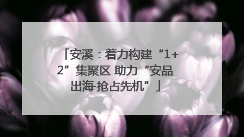安溪：着力构建“1+2”集聚区 助力“安品出海·抢占先机”