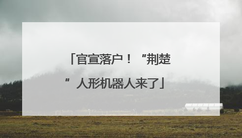 官宣落户！“荆楚”人形机器人来了