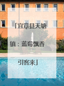 宜章县天塘镇：蓝莓飘香引客来