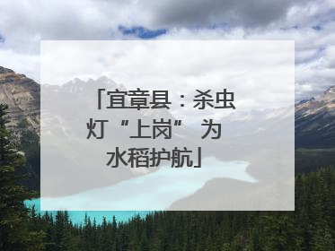 宜章县：杀虫灯“上岗” 为水稻护航