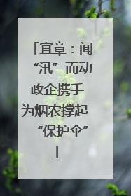 宜章：闻“汛”而动 政企携手为烟农撑起“保护伞”