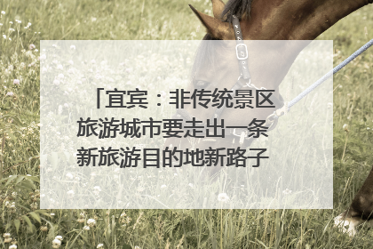 宜宾：非传统景区旅游城市要走出一条新旅游目的地新路子｜话锦绣·说安逸