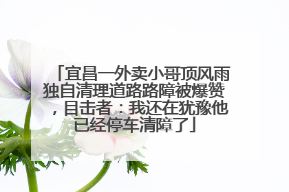 宜昌一外卖小哥顶风雨独自清理道路路障被爆赞，目击者：我还在犹豫他已经停车清障了