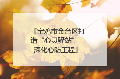 宝鸡市金台区打造“心灵驿站” 深化心防工程