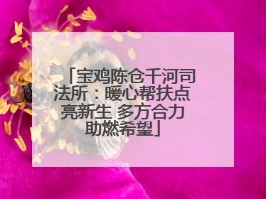 宝鸡陈仓千河司法所：暖心帮扶点亮新生 多方合力助燃希望