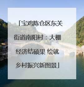 宝鸡陈仓区东关街道南阳村：大棚经济结硕果 绘就乡村振兴新图景