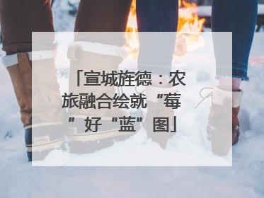 宣城旌德：农旅融合绘就“莓”好“蓝”图