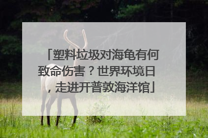 塑料垃圾对海龟有何致命伤害？世界环境日，走进开普敦海洋馆