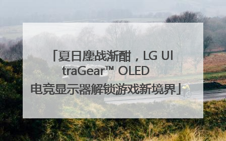 夏日鏖战渐酣，LG UltraGear™ OLED电竞显示器解锁游戏新境界