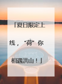 夏日限定上线，“荷”你相遇洪山！