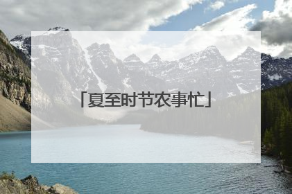 夏至时节农事忙