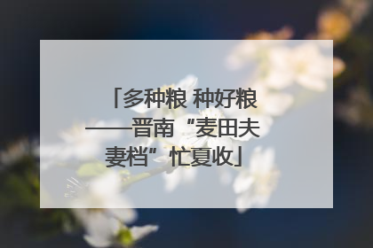 多种粮 种好粮——晋南“麦田夫妻档”忙夏收