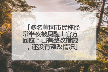 多名黄冈市民称经常半夜被臭醒！官方回应：已有整改措施，还没有整改情况
