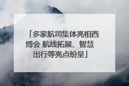 多家航司集体亮相西博会 航线拓展、智慧出行等亮点纷呈